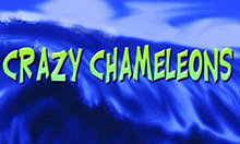 Crazy-Chameleons